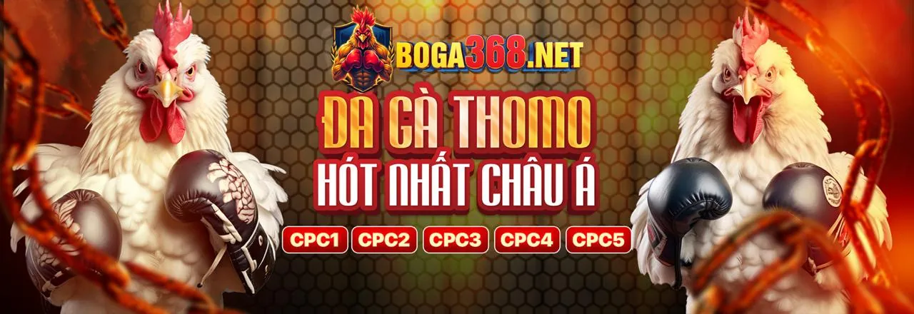 Banner đăng nhập qq888 an toàn và uy tín